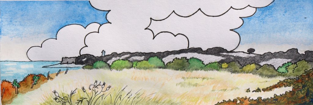 Large Meadow from the Blackthorn Rampart
